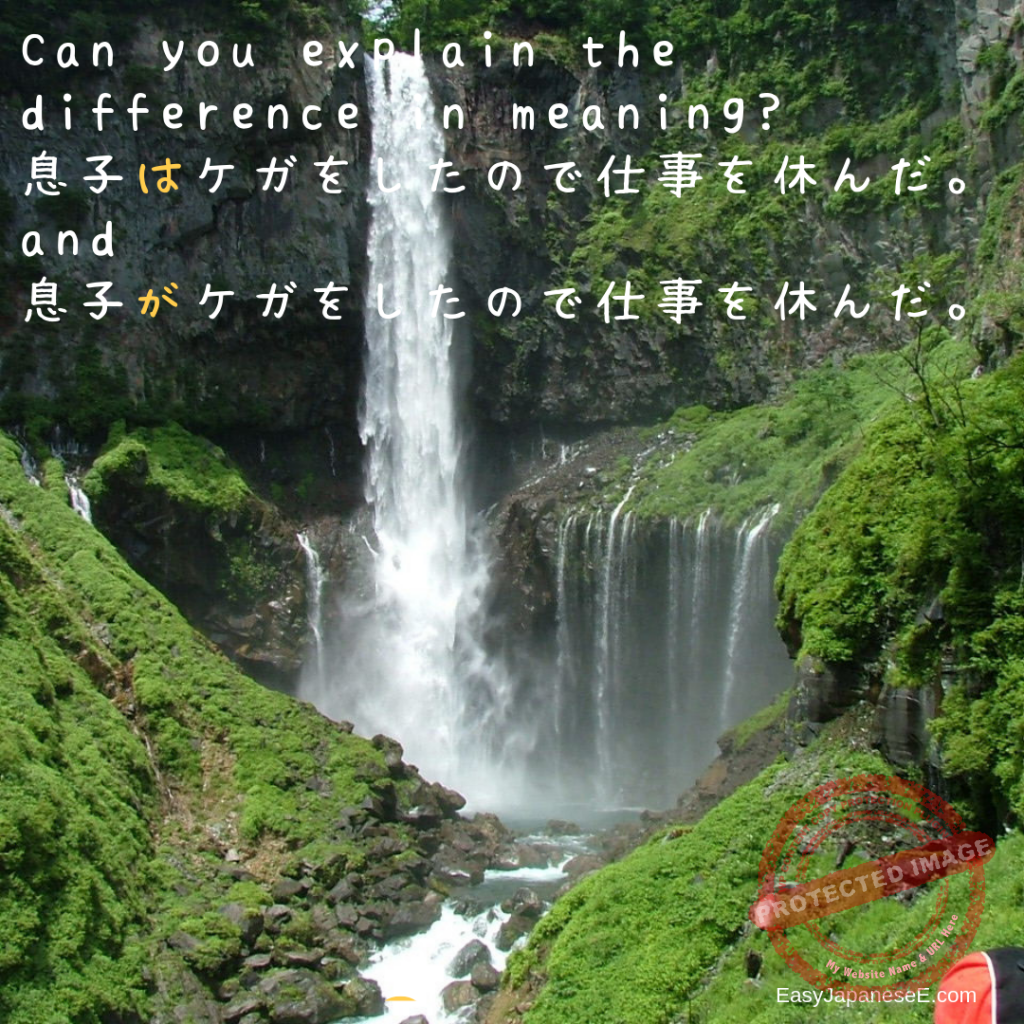 「は」&「が」(1) | EasyJapaneseE