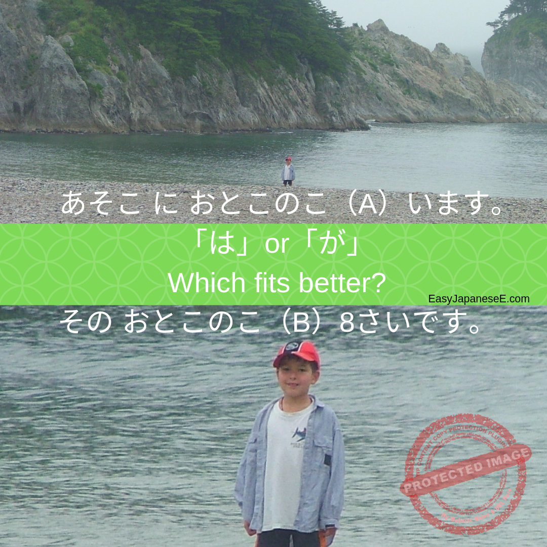 「は」&「が」(2) | EasyJapaneseE