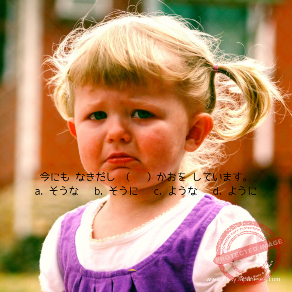 ~そうな/そうに | EasyJapaneseE