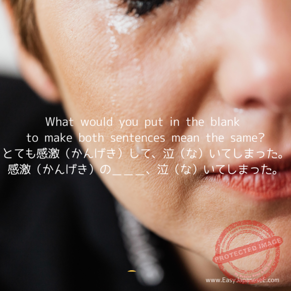 ~あまり、・・・ | EasyJapaneseE