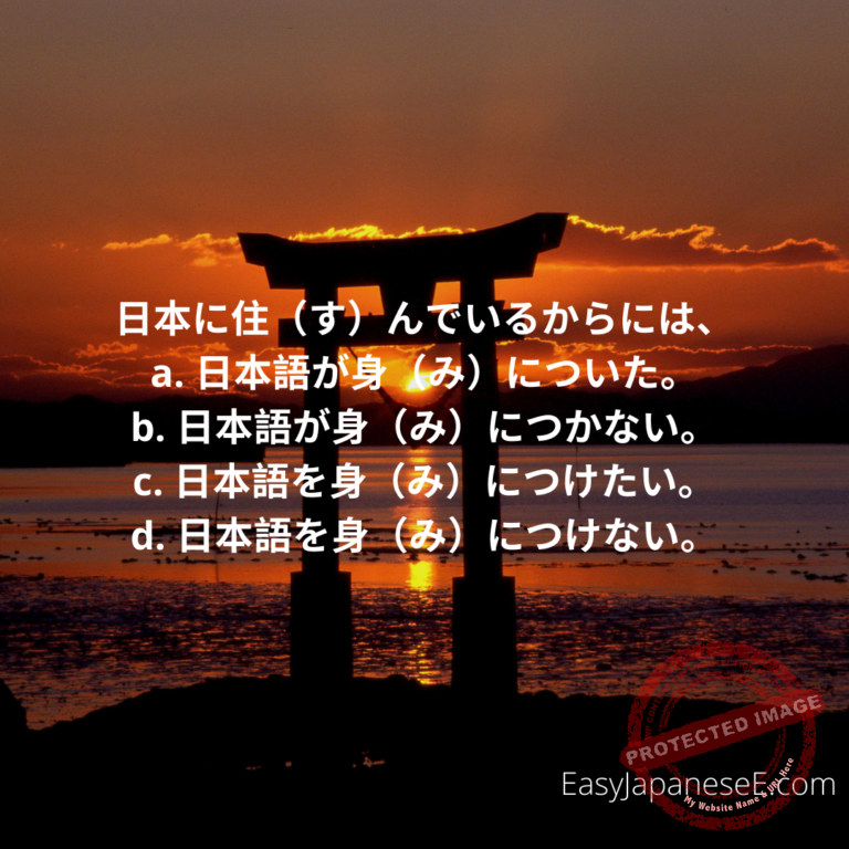 ~からには… | EasyJapaneseE
