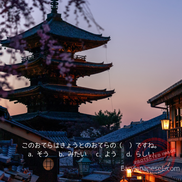 ～ようです/～ようだ | EasyJapaneseE
